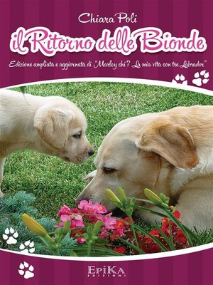 cover image of Il ritorno delle Bionde